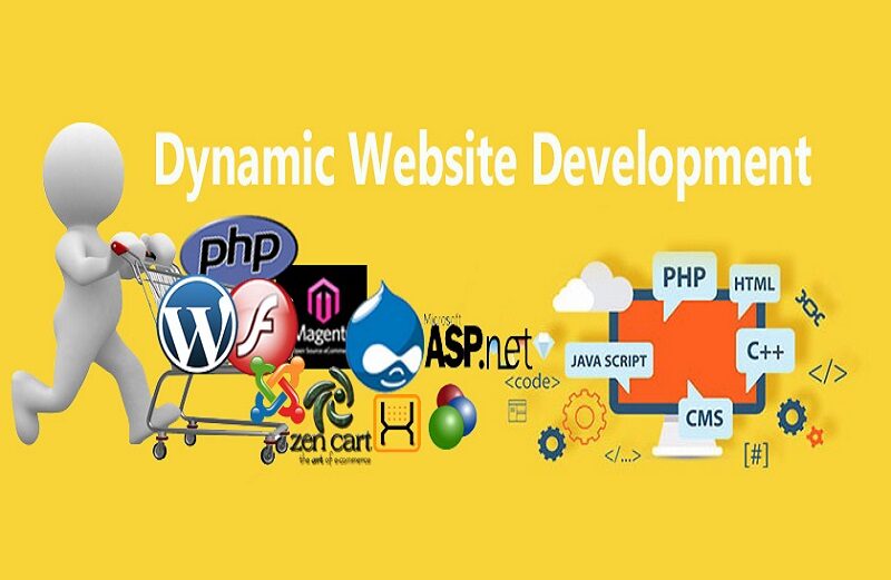 Dynamic Website-Basic